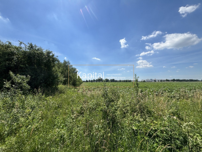 Działka Sprzedaż Wszemirów 2